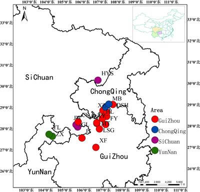 Genetic diversity and phylogeography of the endemic species Chimonobambusa utilis growing in southwest China: <mark class="highlighted">Chloroplast DNA</mark> sequence and microsatellite marker analyses